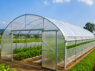 Agricultural Greenhouses