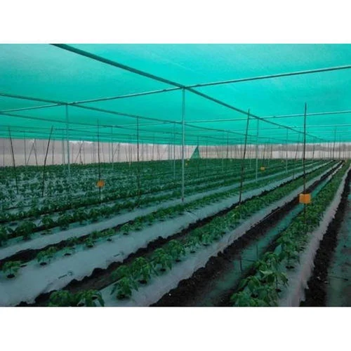 Crop Protection Techniques