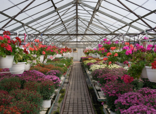 Floriculture