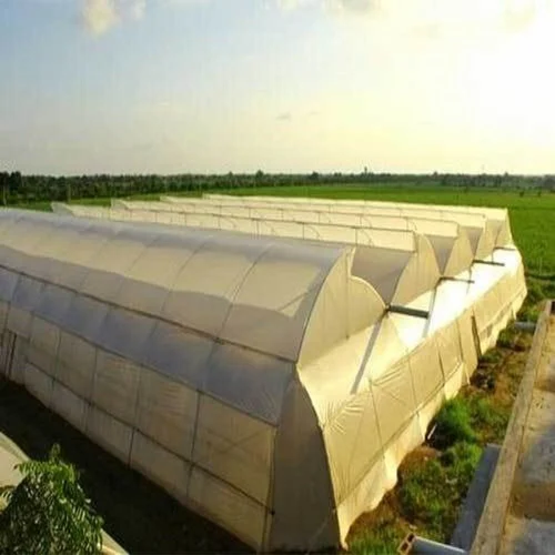 Hydroponic Farming Guide