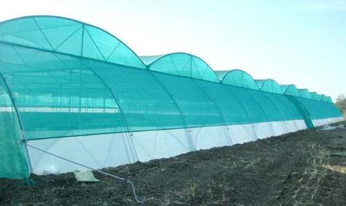 Net House Structure