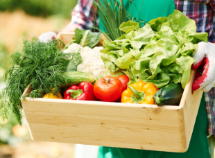 Organic Farming
