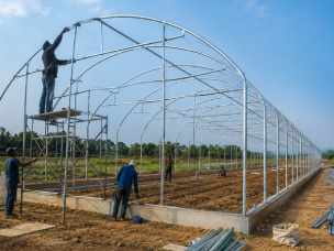 Polyhouse Construction Services