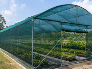 Shade Net House