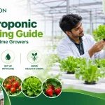 Hydroponic Farming Guide For First-Time Growers